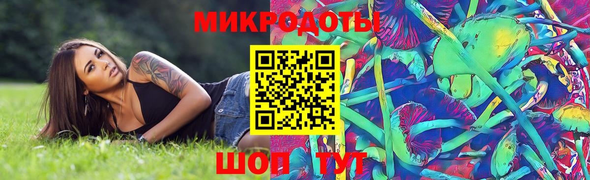 наркота  Псилоцибиновые грибы Psilocybine cubensis  Вход с VPN  Соль-Илецк 
